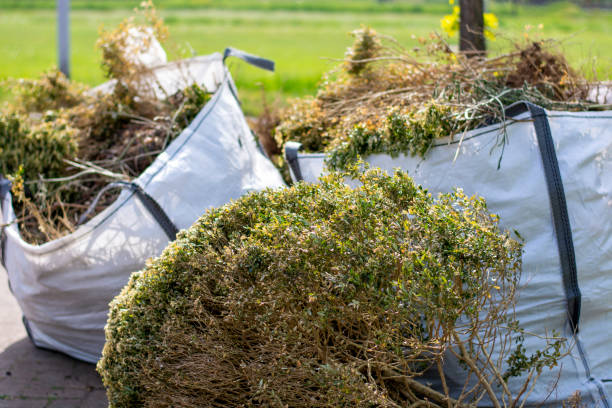 Shed Removal in Flower Mound, TX